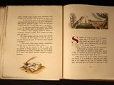 an open book with a picture of a dog and a cat