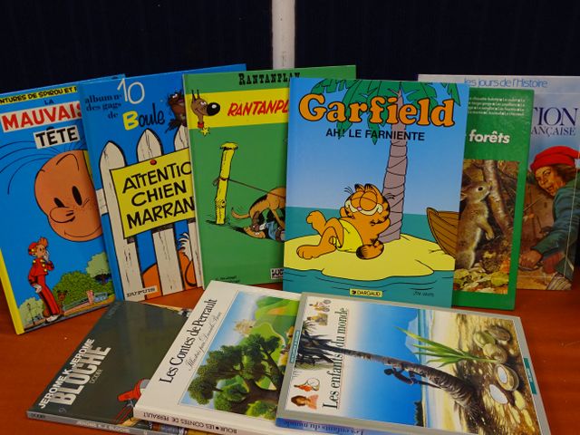 Lot de livres dont BD (Boule et bill, Garfield, Spitou)