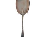 a silver spoon with a spoon handle on a white background