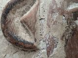 a close up of a sculpture of a man ' s face