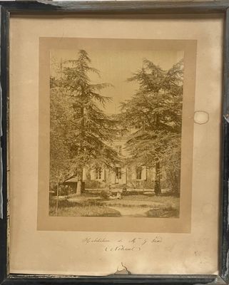 une vieille photo d'une photo représentant une maison dans les bois