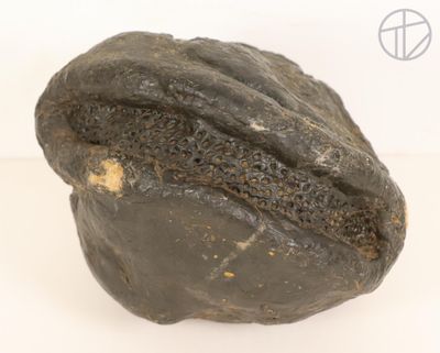 an image of a piece of rock on a white surface