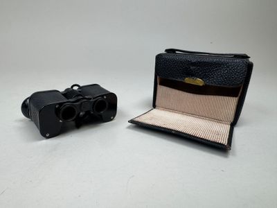 pair of binoculars and case on a white background