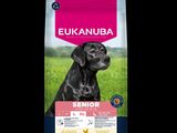 eukanuba senior large breed dog food