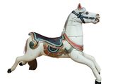 a white horse that is standing up on a white background