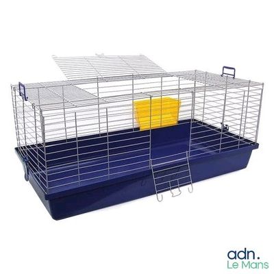 une image représentant une petite cage contenant un objet jaune