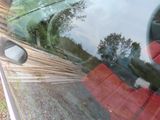 a reflection of a tree in the window of a car