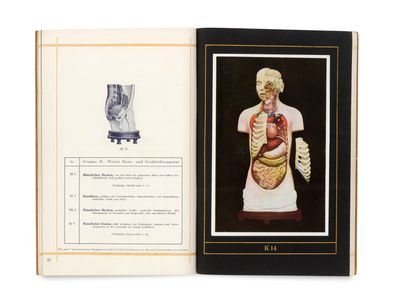 an open book with a picture of a human torso and a diagram of the human body
