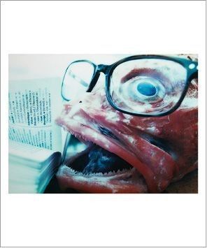 a picture of a fish with a pair of glasses on it ' s face