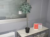 une petite table sur laquelle se trouve une plante en pot, devant une fenêtre