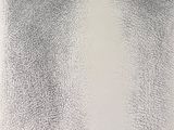 une image représentant un morceau de feuille d'argent posé sur une surface blanche