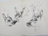 an open book with a drawing of two deer ' s heads on it