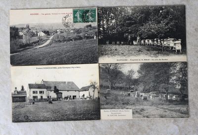 trois vieilles cartes postales représentant une ferme avec des vaches et une maison