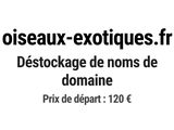 Photo 1/1 du lot