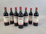 six bouteilles de vin rouge alignées