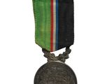 an image of a medal with a ribbon around it on a white background