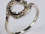 une image représentant une bague en argent surmontée d'un serpent