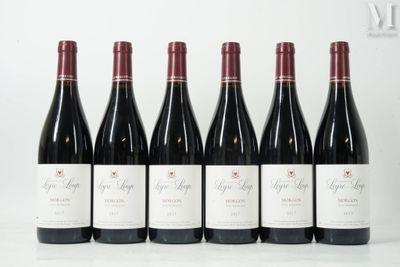 six bouteilles de vin rouge sont alignées sur une table