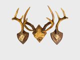 deux têtes de cerf accrochées au mur, rehaussées de touches de feuille d'or