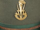 a green hat with a gold emblem on it