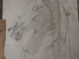 a drawing of a horse on a piece of paper