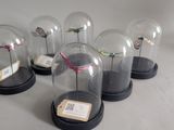 five glass cloches with a bird inside of them
