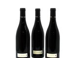 three bottles of wine are lined up on a white surface
