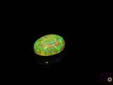 an oplite in the dark with a black background