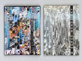 two pictures of a cityscape on the wall