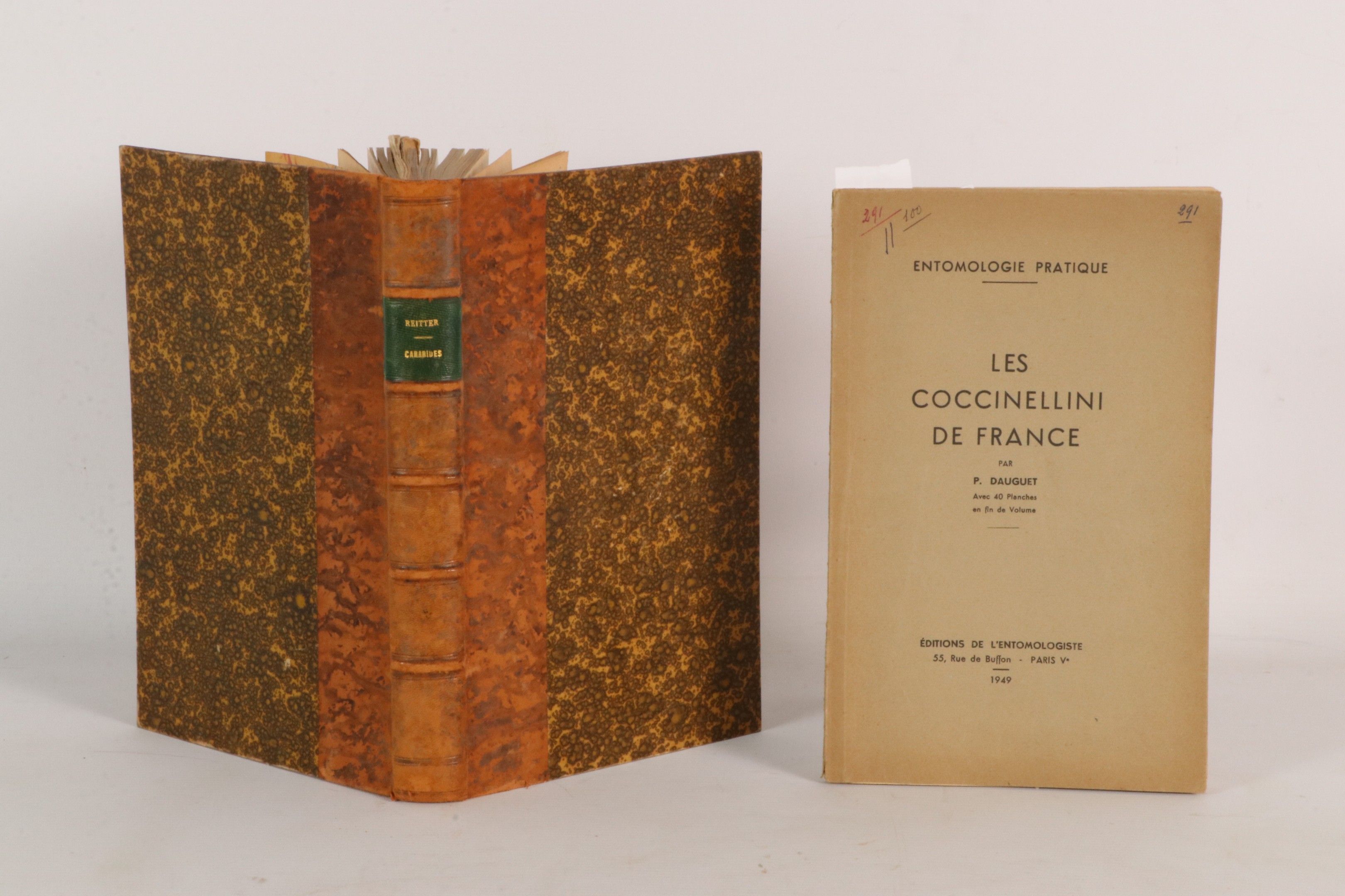 [ENTOMOLOGIE] DAUGUET P. Entomologie pratique. Coccinellini …