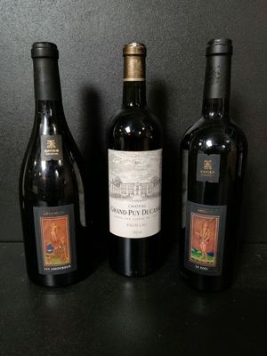 Lot de 3 bouteilles de vin rouge : Château Grand-Puy Ducasse… - Photo 1