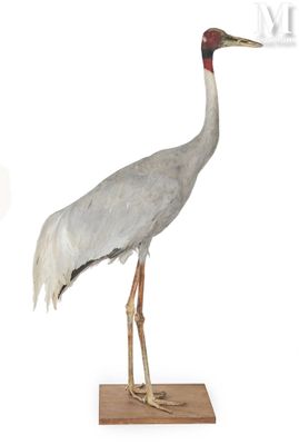 a statue of a crane standing on a wooden base
