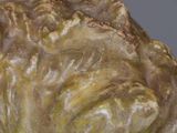 a close up of a sculpture of a head of cabbage