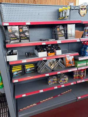 many items on the shelves in the store
