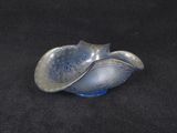 a silver and blue shell shaped object on a black surface
