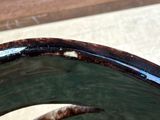 a close up view of a bowl with a worm in it