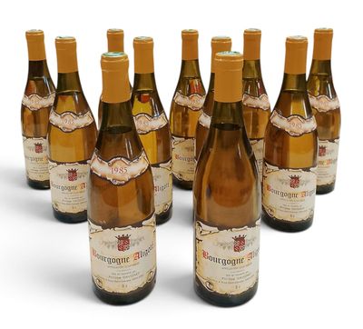 six bouteilles de vin sont alignées sur une surface blanche