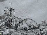 un dessin en noir et blanc représentant deux animaux allongés par terre