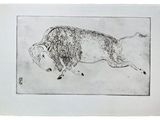 dessin représentant un taureau courant dans un champ, sur fond blanc