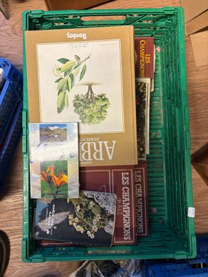 a green box filled with books and other items on a table