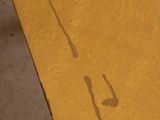 a close up of a yellow table with a small lizard on it