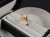 une bague qui se trouve dans une boîte contenant une bague