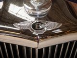 a close up of a car hood ornament with a logo on it