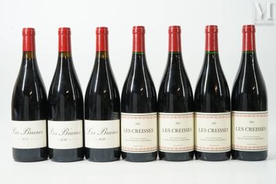 six bouteilles de vin rouge alignées sur une surface blanche