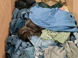 a cat that is laying in a box full of clothes