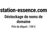 Photo 1/1 du lot