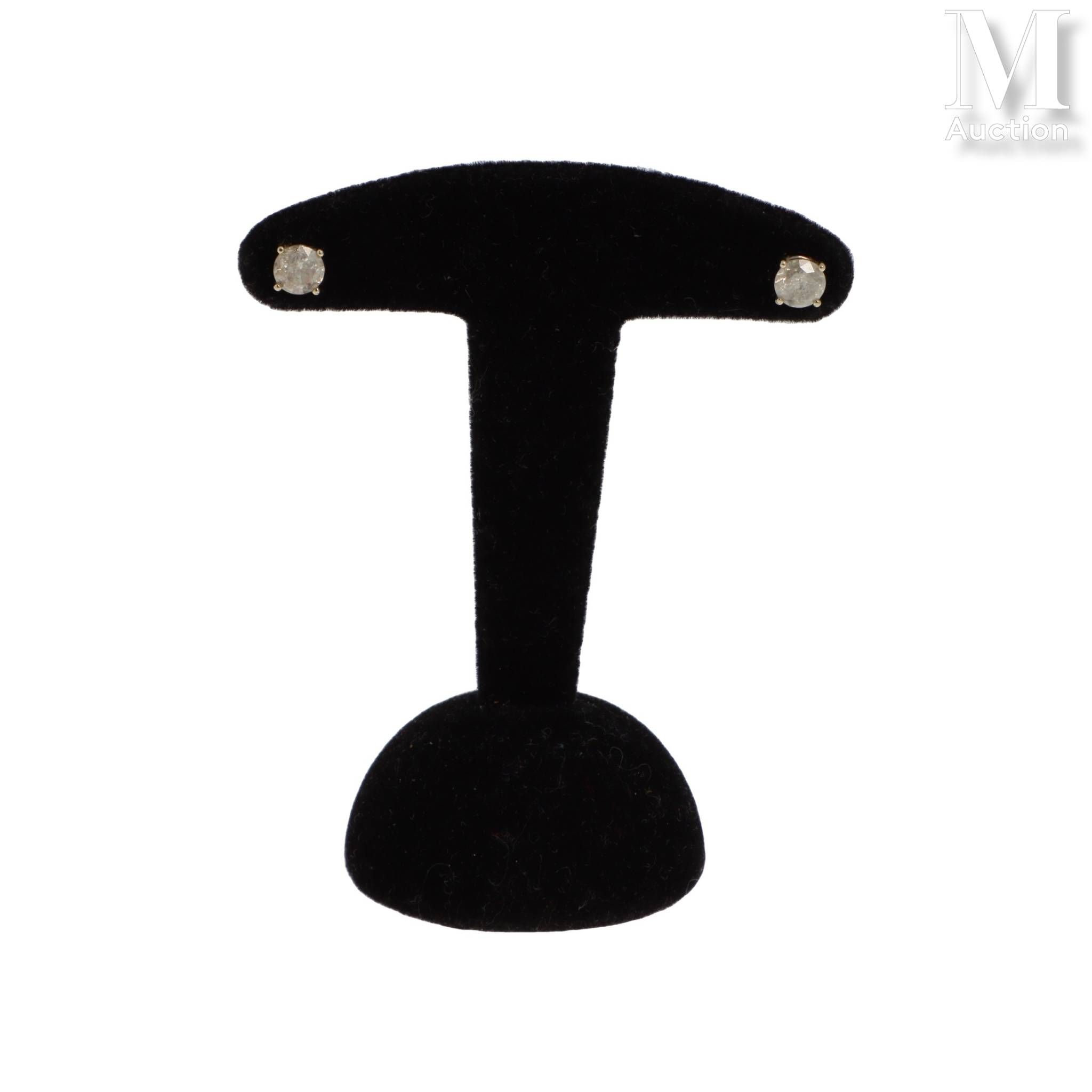 Objets d'art & Curiosités