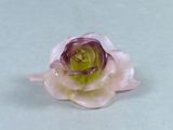 a pink flower with a green center sitting on a white surface