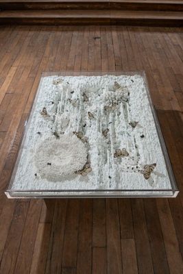 GOLIATH (1982), Grande table basse en verre, plexiglas et al…