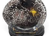black and white snow globe with a yellow star on top